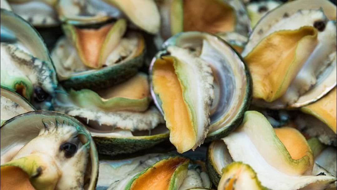 Esperance, the Next Abalone Hub of Australia? Rare Foods Australia